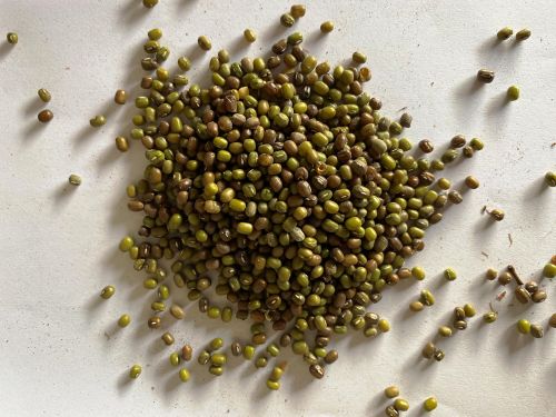 Mung Beans