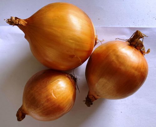 Organic Brown Onions