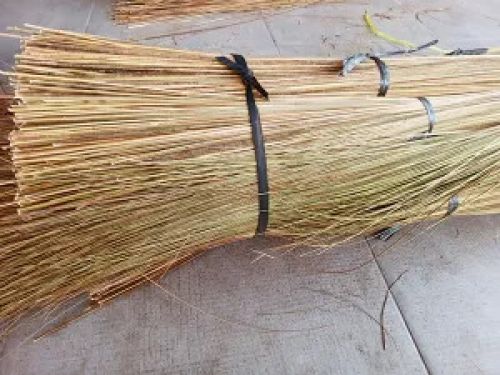 Palm Broom Stick