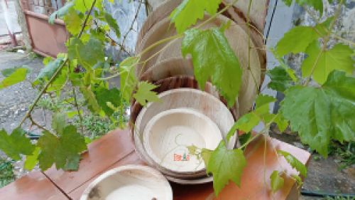 Areca Palm Leaf Plate and Bowl