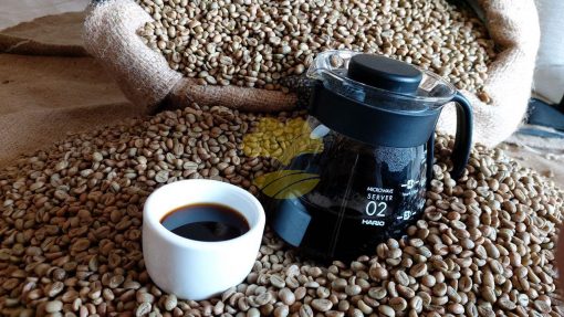 Wholesale Supplier of Indonesian Robusta Coffee Beans for the Global Market