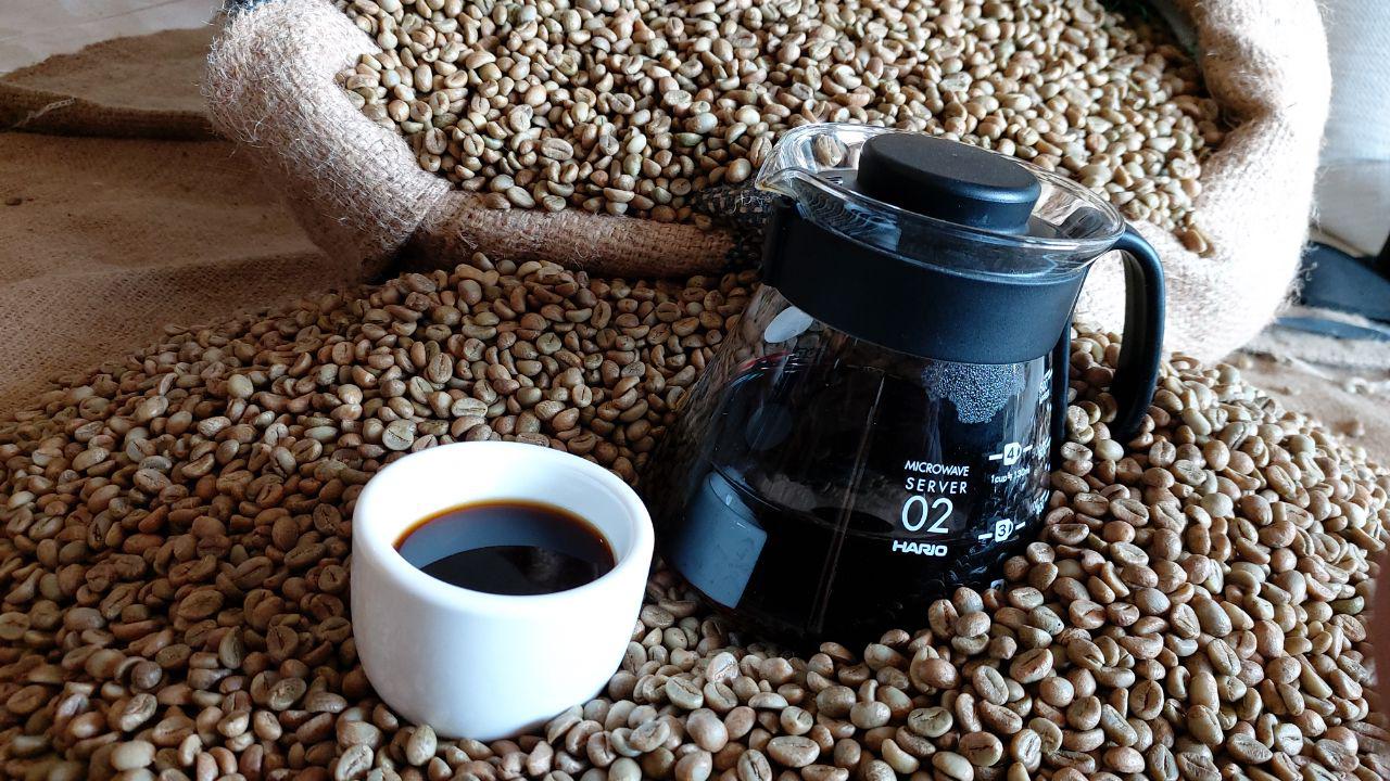 High Quality Robusta Coffee Green Beans Indonesia Origin Washed Process 