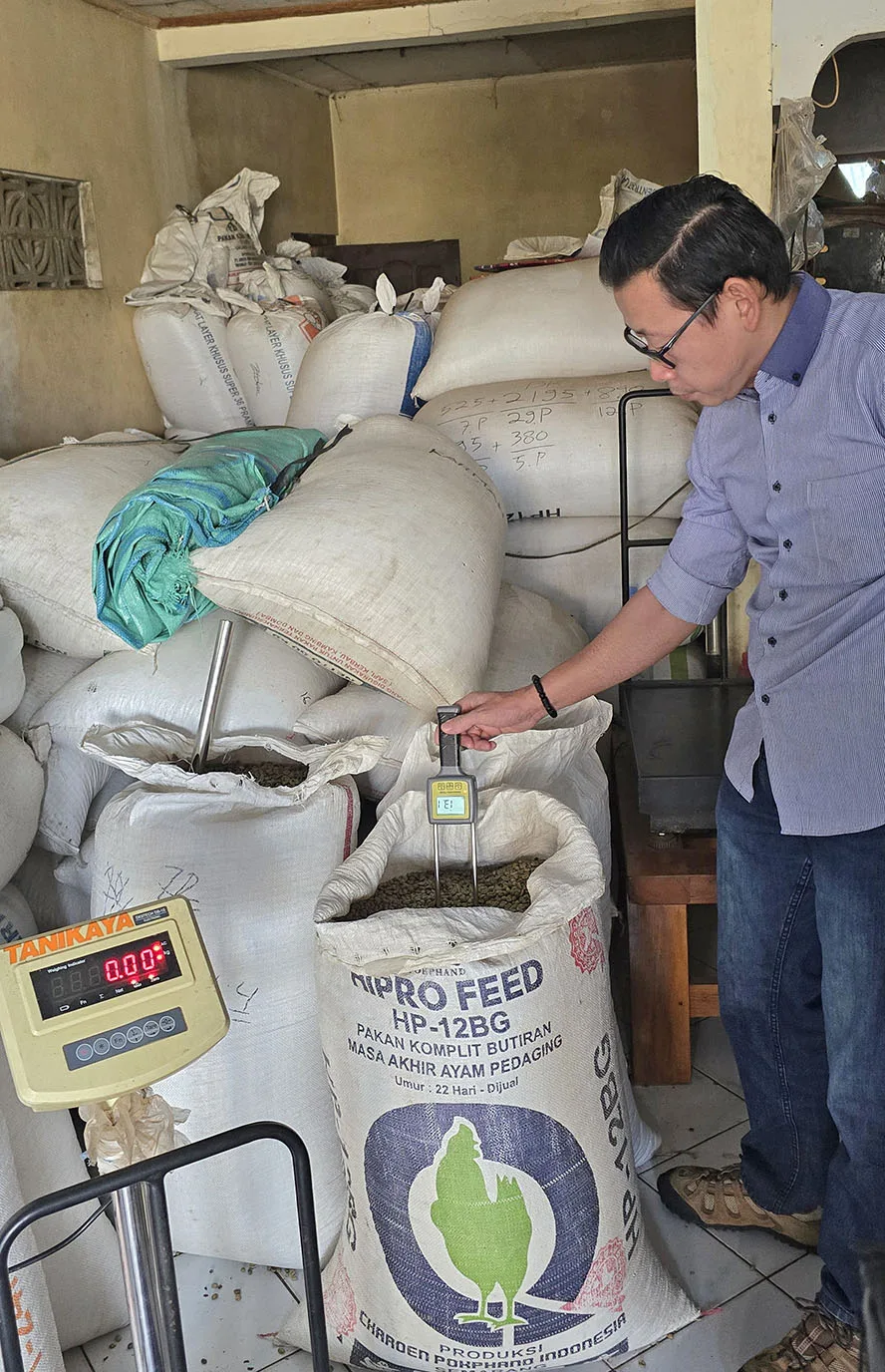 Robusta Green Bean Coffee