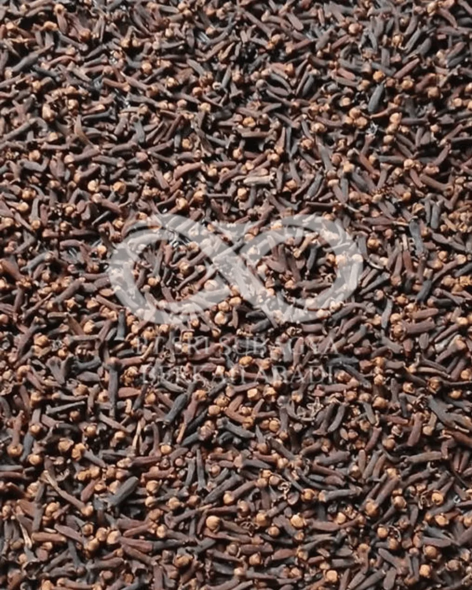 Indonesian Cloves Premium Quality