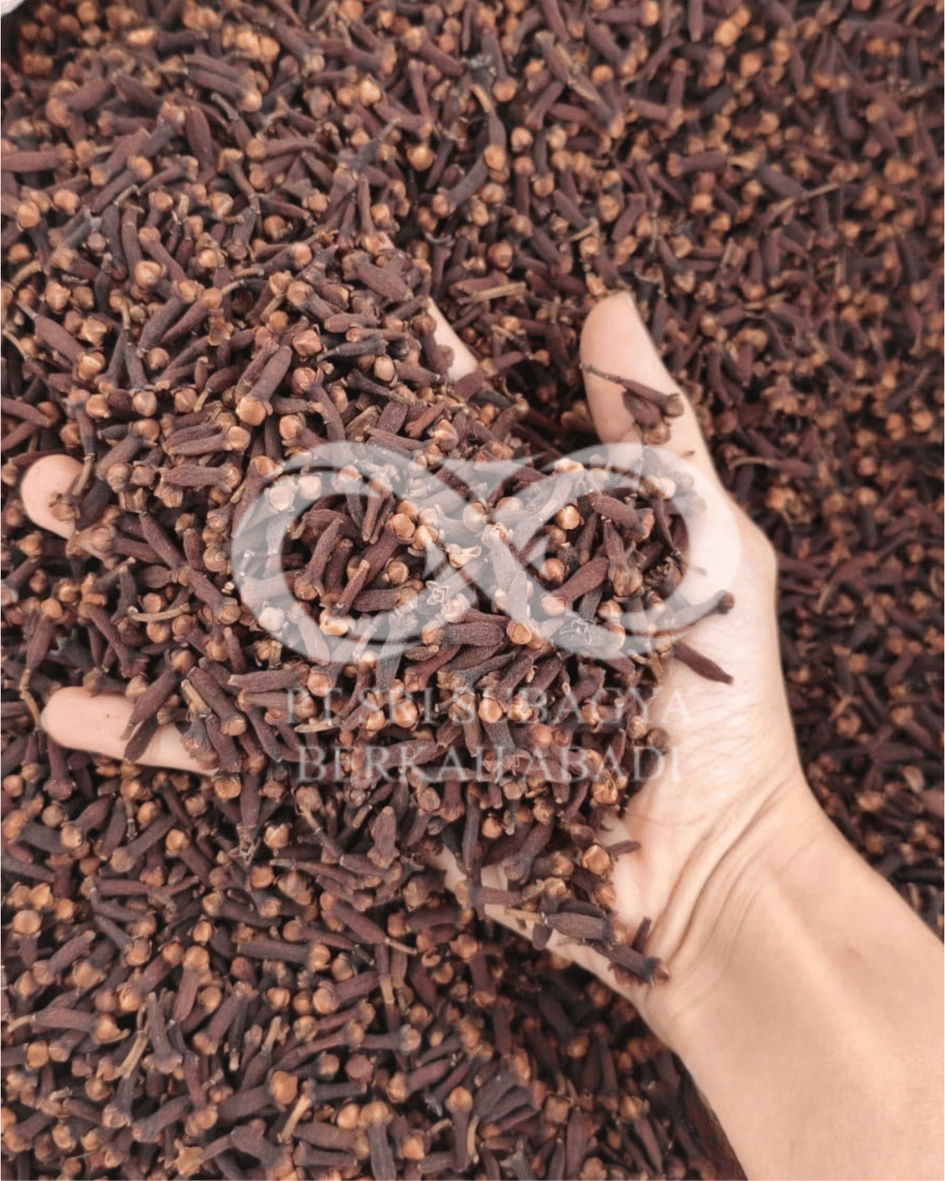 Indonesian Cloves Premium Quality