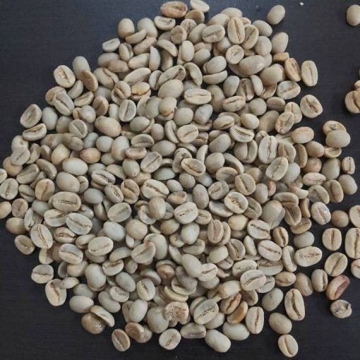 High Quality Robusta Coffee Green Beans Indonesia Origin Washed Process 