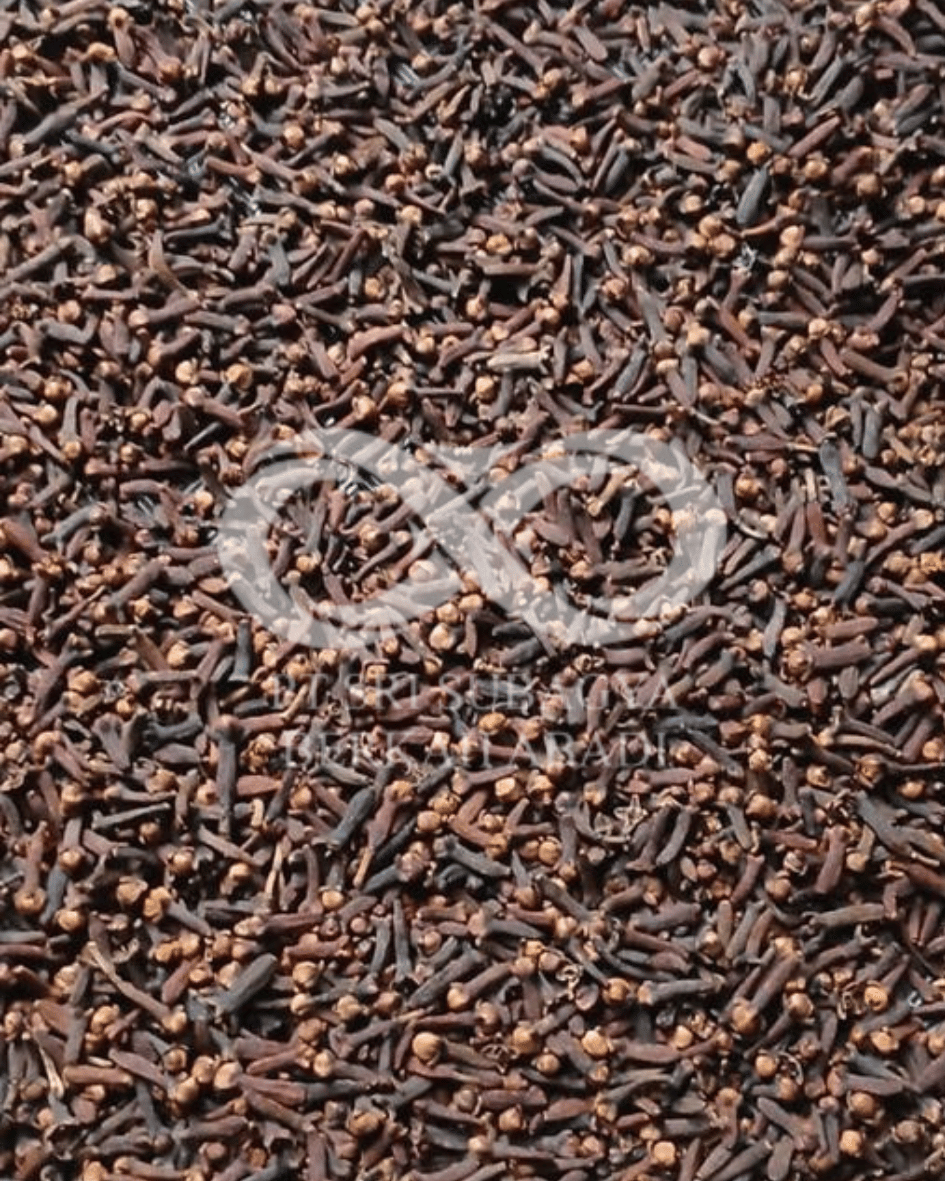 Indonesian Cinnamon Sticks (Cassia Vera)
