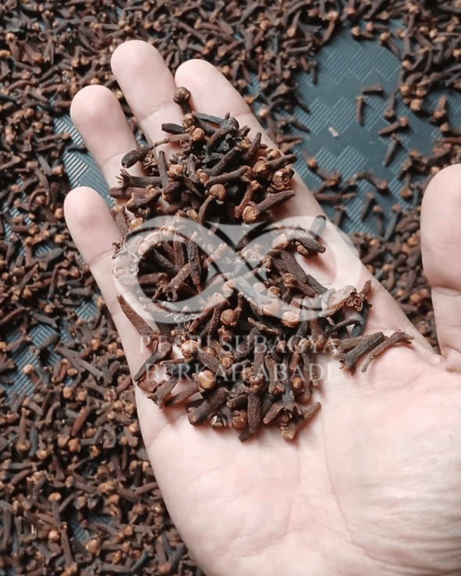 Gourmet Planifolia Vanilla Beans